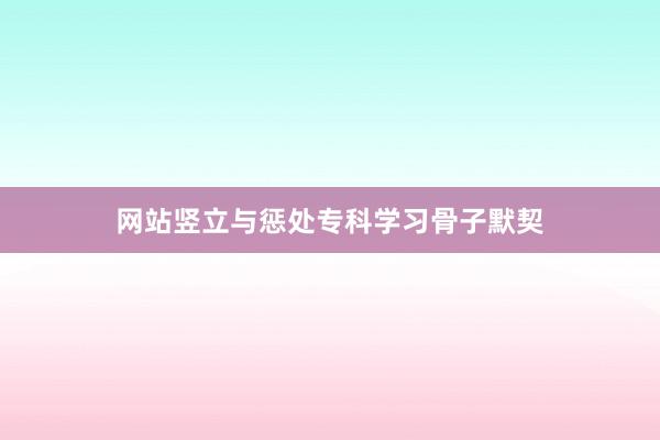 网站竖立与惩处专科学习骨子默契